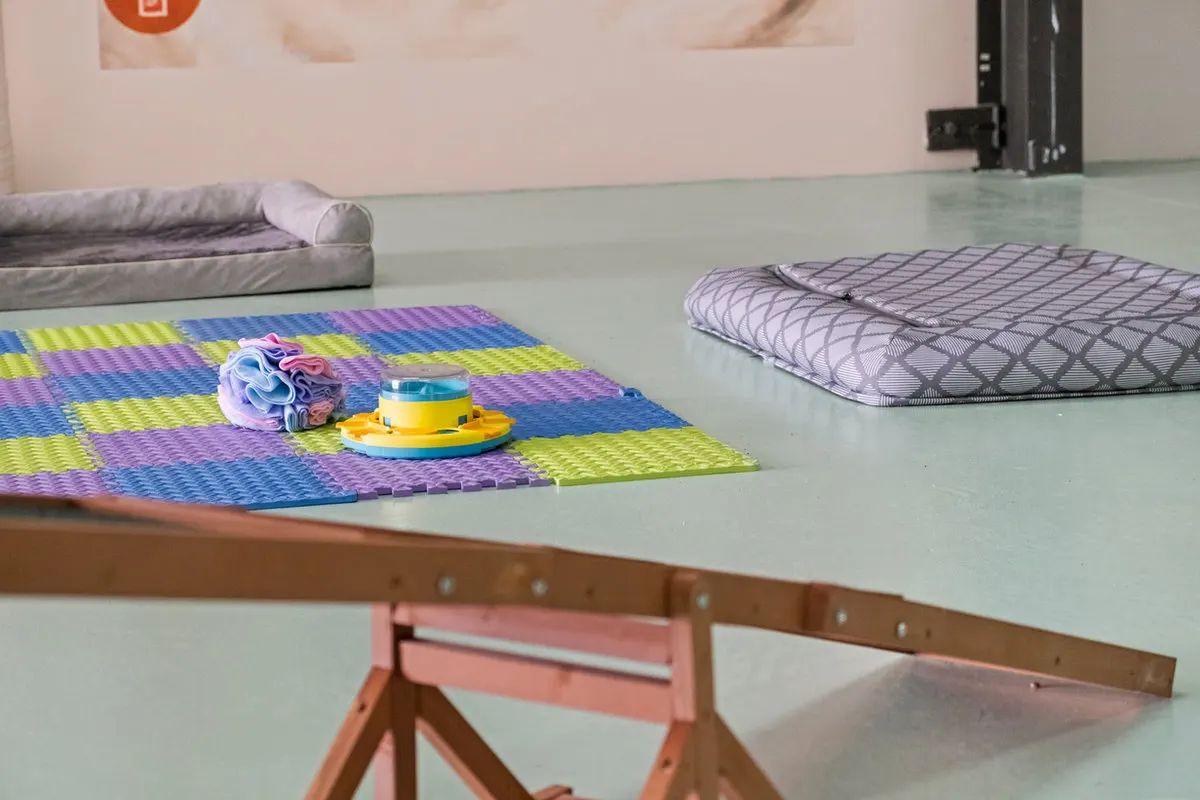 Play mats, beds and toys in the daycare room